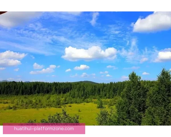 世界杯竞猜稳定平台引领安全透明数据驱动全球足球竞猜新体验中心